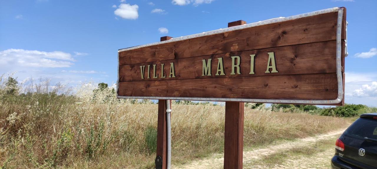 Maria'S Luxury Apartment คัสซานเดรีย ภายนอก รูปภาพ