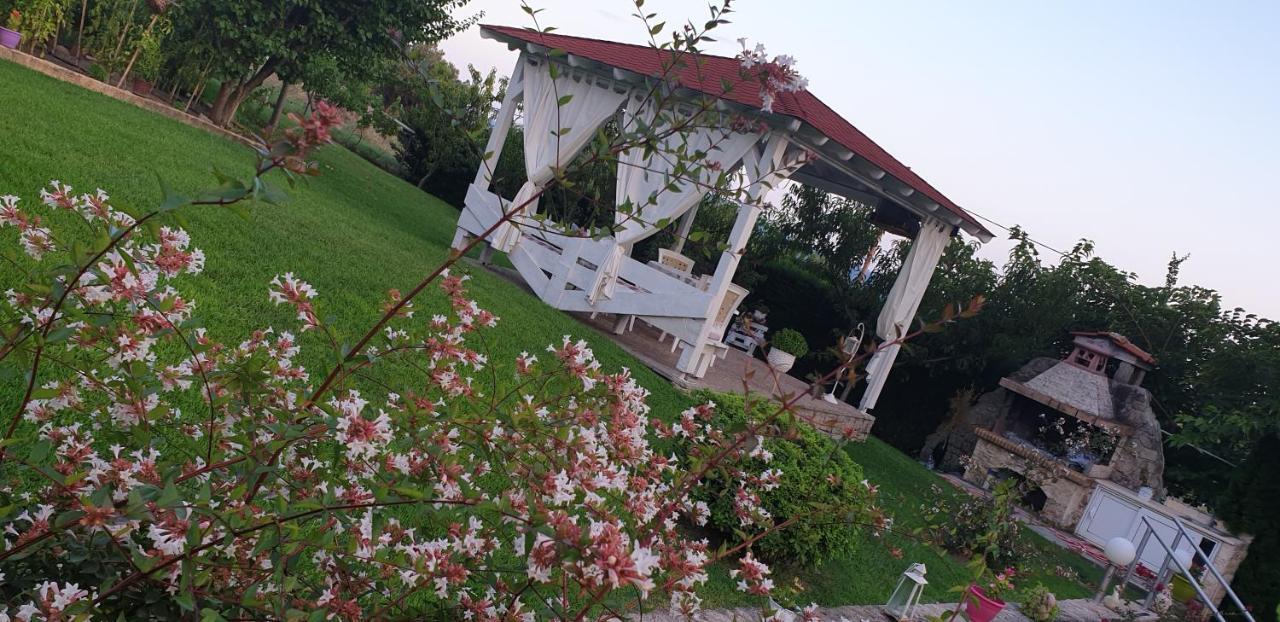 Maria'S Luxury Apartment คัสซานเดรีย ภายนอก รูปภาพ
